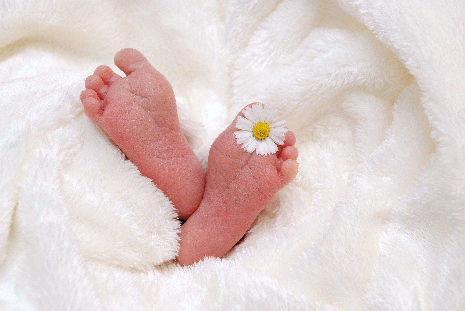 baby-718146_1920